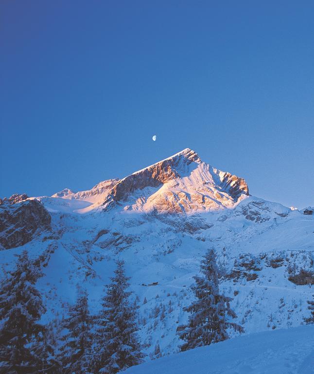Ferienwohnungen Zugspitze Grainau Extérieur photo